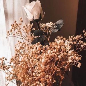 Meet your Posher, Lovely